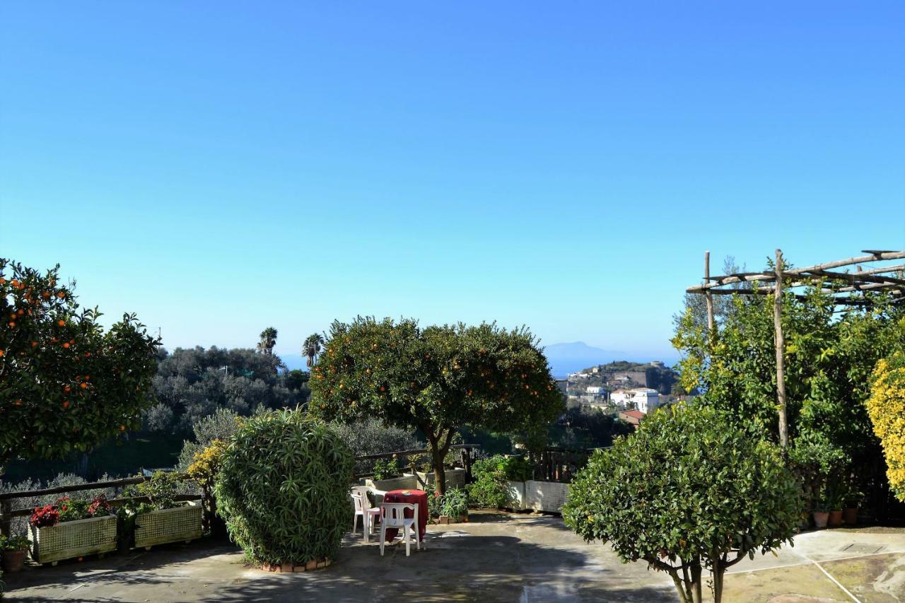Appartement Il Viale à Massa Lubrense Extérieur photo