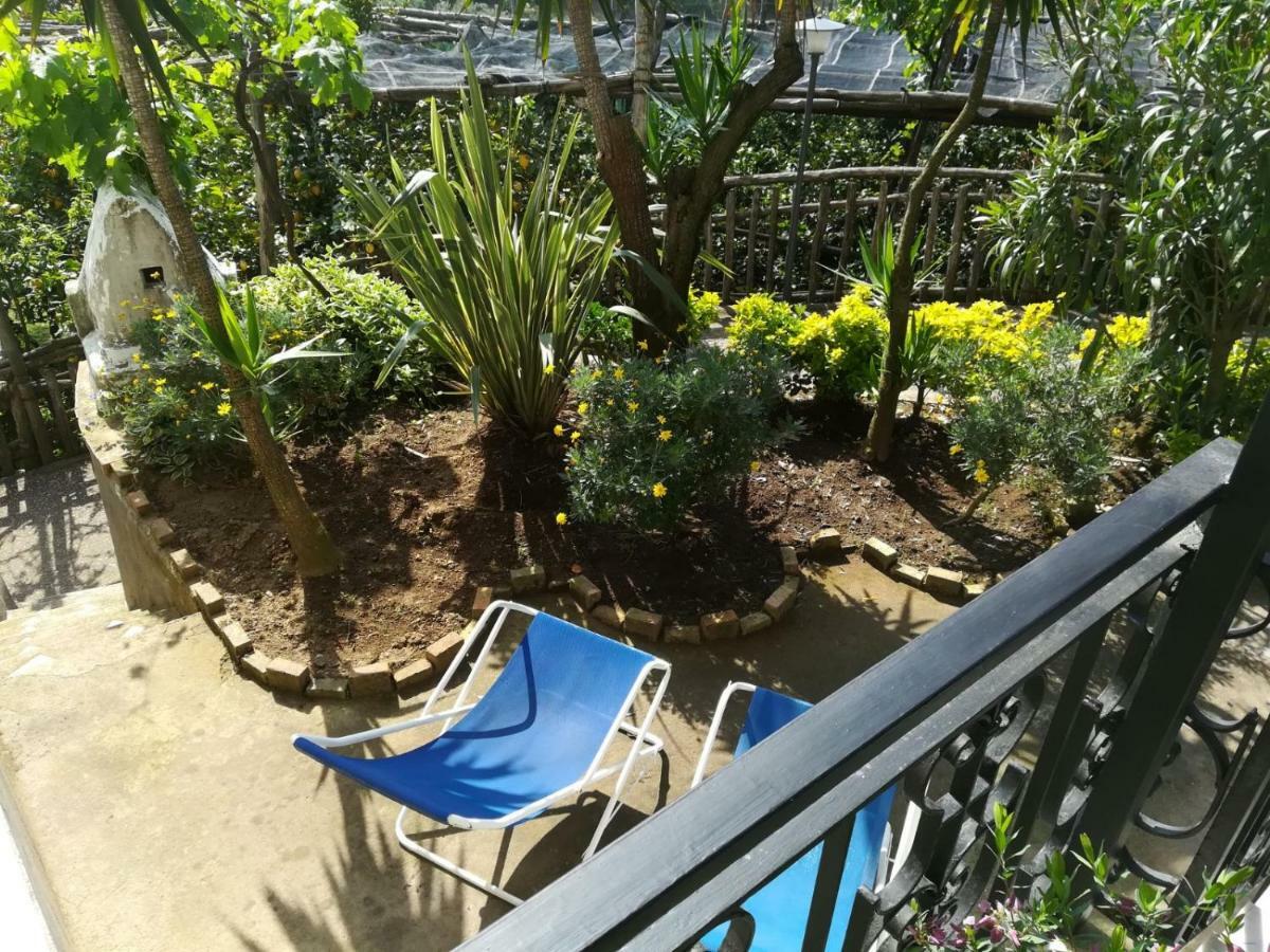 Appartement Il Viale à Massa Lubrense Extérieur photo